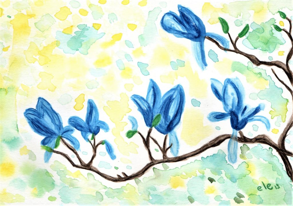 Elena corso privatista, Magnolia blu, pastelli acquerellabili ed acquerelli