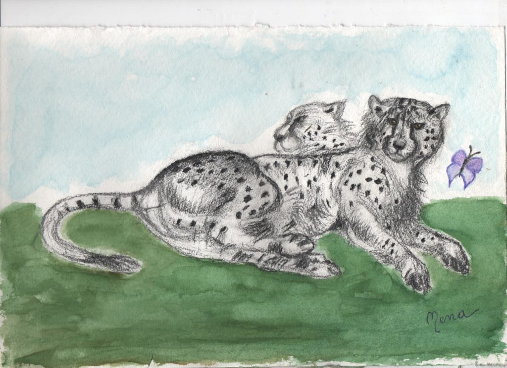 Nazzarena, Leopardi, matita ed acquerelli su carta